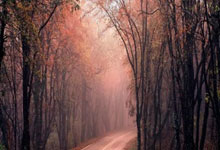 超时大PK，开拓者力克掘金