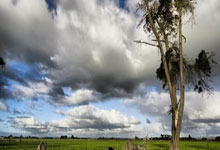 意大利职业足球赛场上激烈角逐：一场不止是比赛，更是心灵与梦想的碰撞