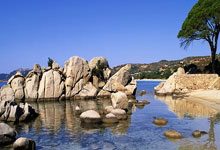 灰熊大胜太阳，莫兰特助攻制胜关键