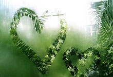 阿森纳全面击败对手，实力雄厚