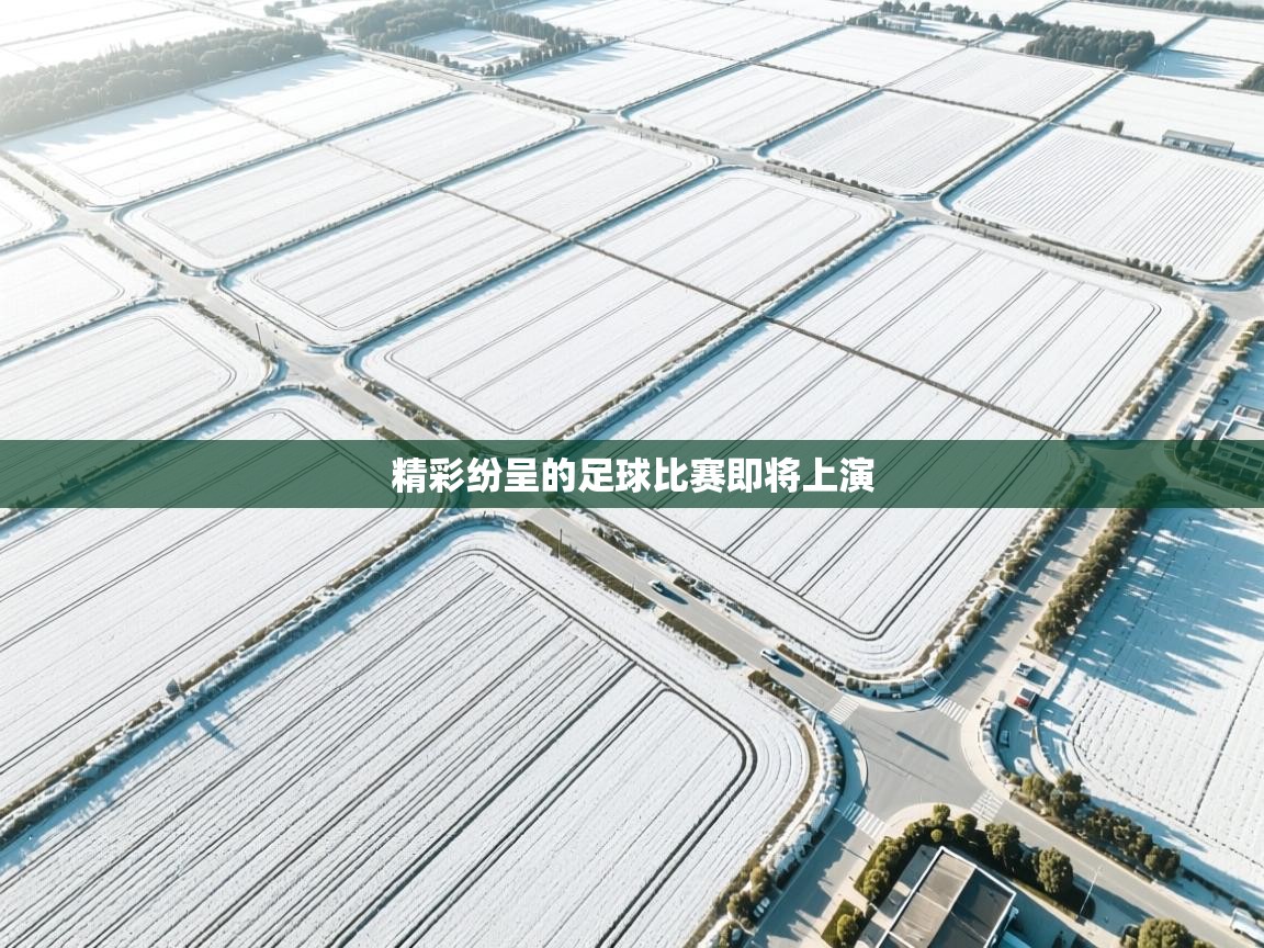 精彩纷呈的足球比赛即将上演  第2张