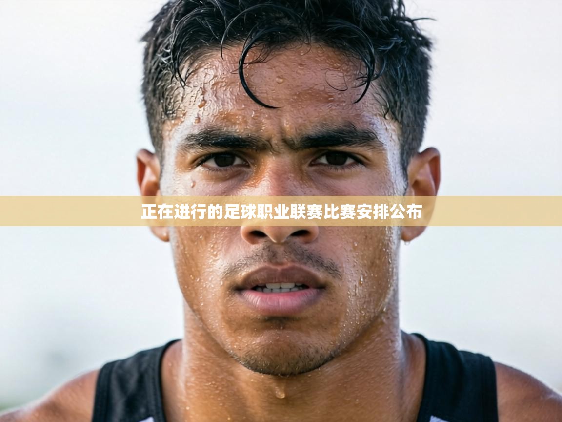 正在进行的足球职业联赛比赛安排公布 第2张