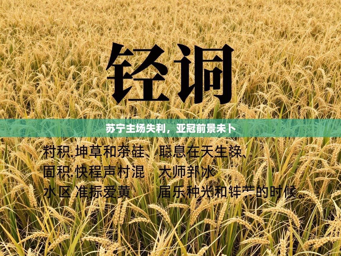 苏宁主场失利,亚冠前景未卜 第2张